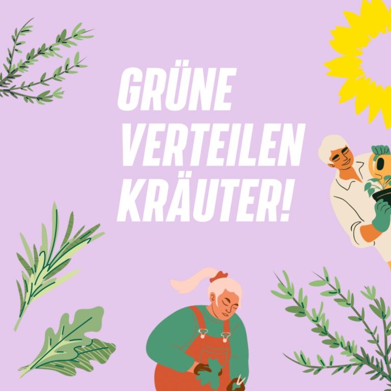 Grüne verteilen Kräuterpflanzen