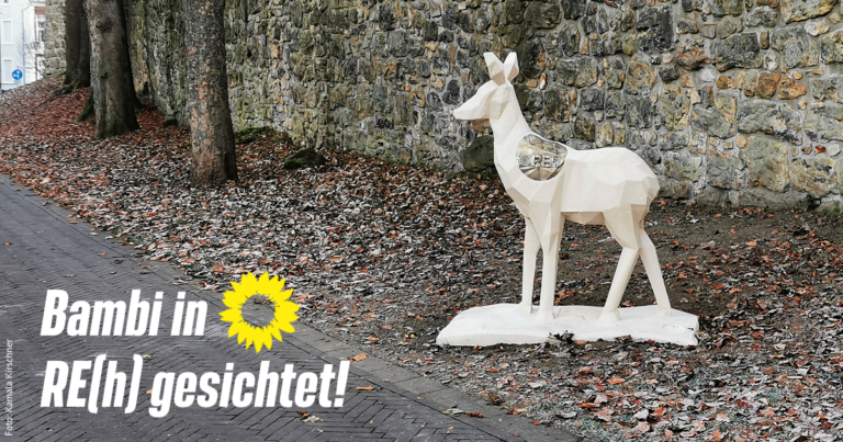 Bambi in RE(h) gesichtet!