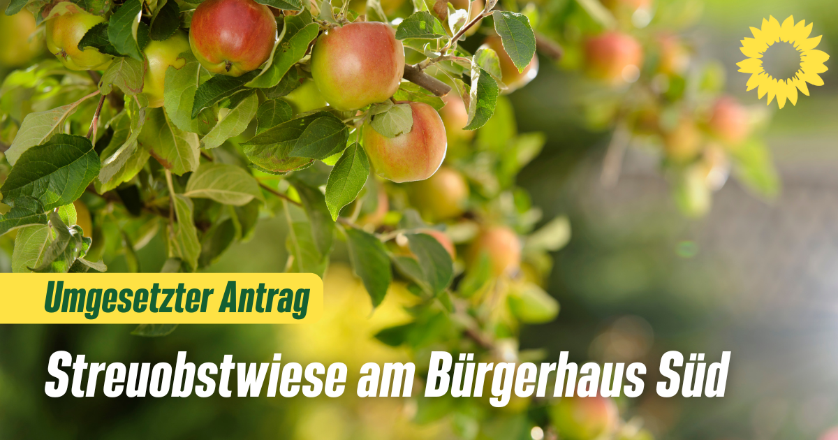 Bild von einem Apfelbaum