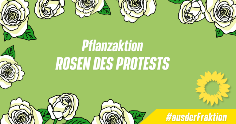 Rosen des Protests