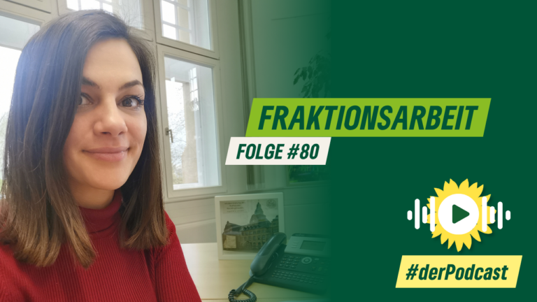 #80 – Fraktionsarbeit – Blick hinter die Kulissen