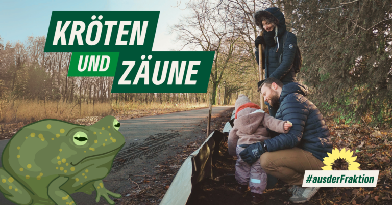 Kröten und Zäune