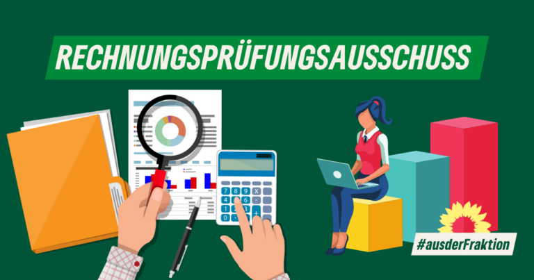 Der Rechnungsprüfungsausschuss