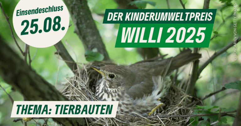 Kinderumweltpreis „Willi 2025“: Thema steht fest