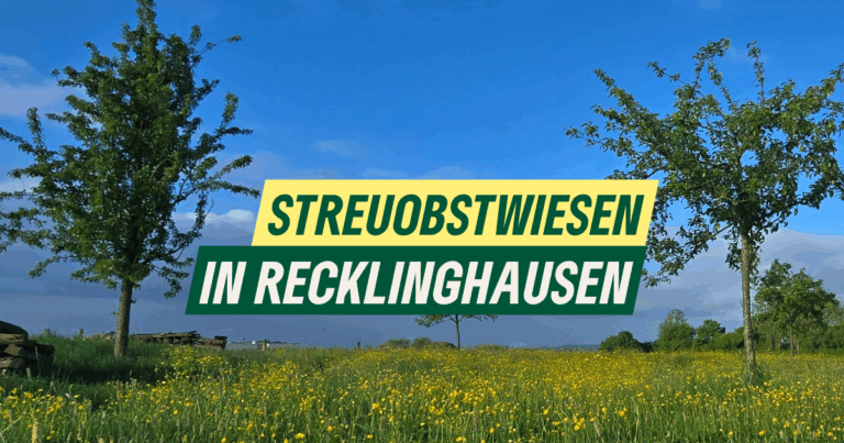 Streuobstwiesen in Recklinghausen – Naturnahe Erholung und Artenvielfalt
