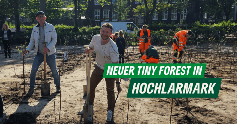 Erster Tiny Forest für Recklinghausen
