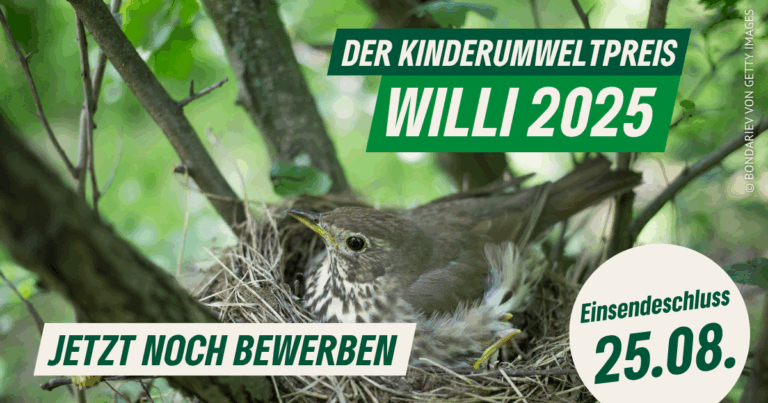 Letzte Chance für kreative Kinder