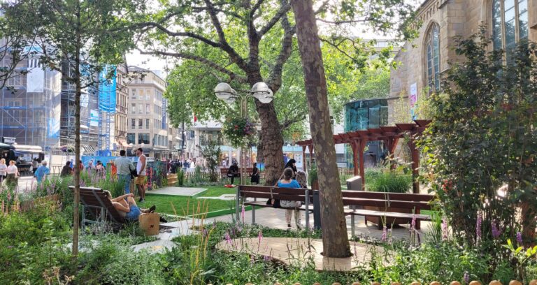 Holzmarkt 8 als grüne Oase in der Altstadt