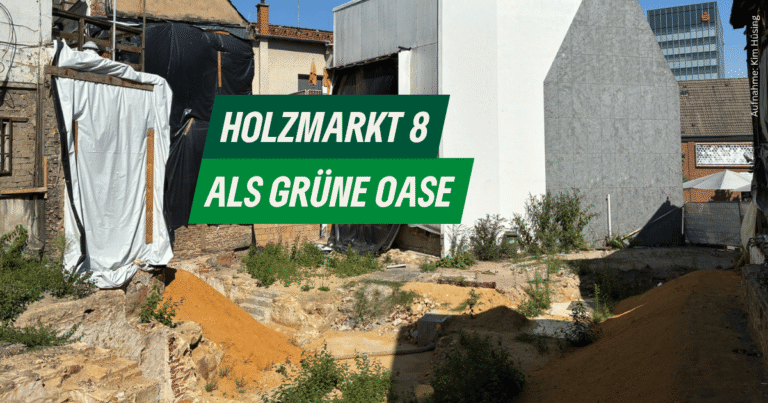 Grüne wollen Pop-up-Grün am Holzmarkt kostenarm, einfach und flexibel